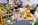 International Conference on Biodiversity and Climate Change 2025  | Misamis University Research Center